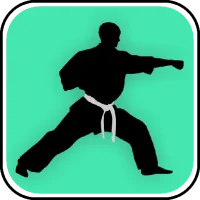Learn Kung Fu Techniques